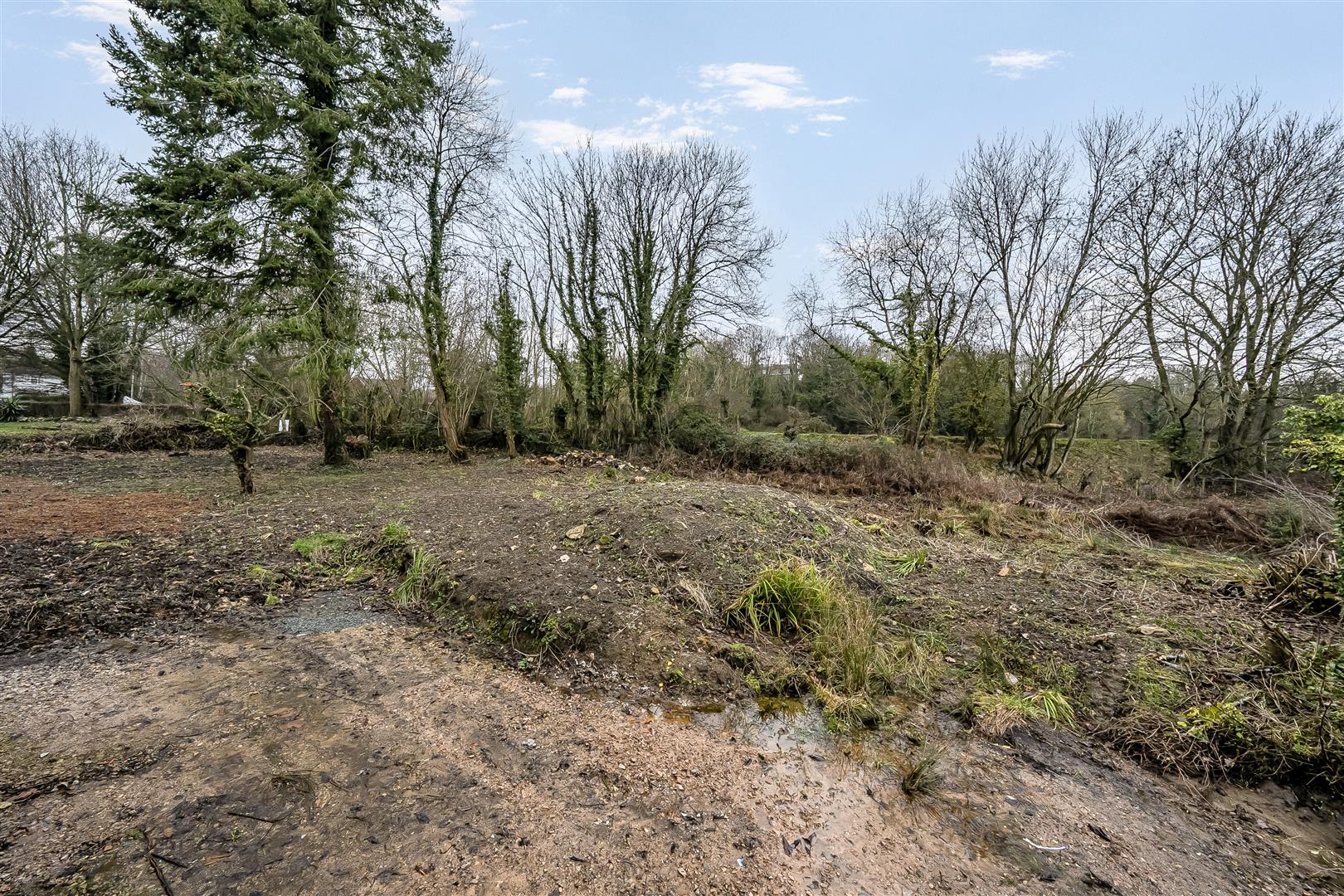 Bodwela Cottage, Oswestry, SY10 8JY